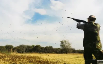 Habilitaron la caza deportiva menor en Entre Ríos: las zonas habilitadas y vedadas