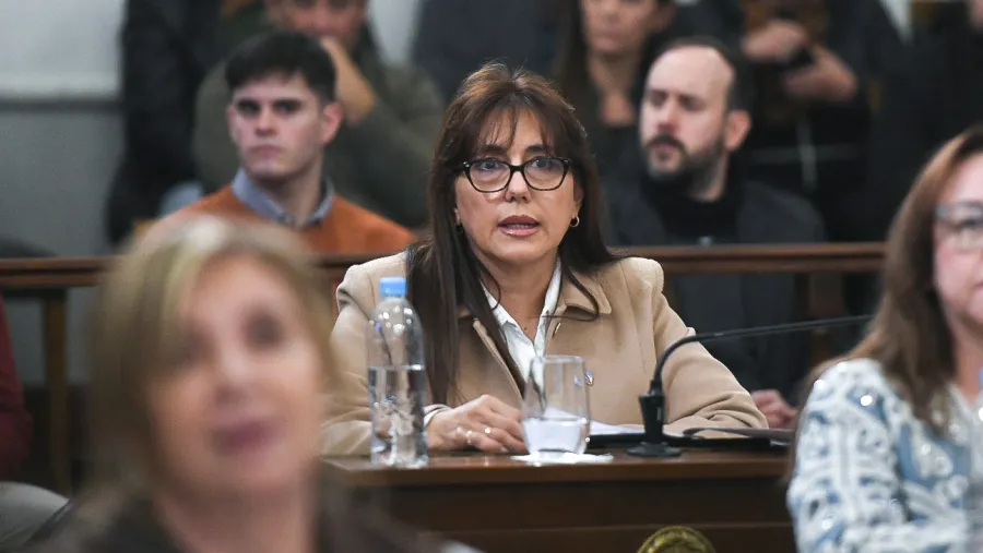 Con el voto de Domínguez, JxER logró que la reforma previsional sea girada solo a dos comisiones del Senado