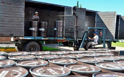 Acuerdo Mercosur – Unión Europea: la primera certificación del país es una exportación de miel desde Concordia