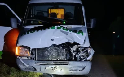 Una ambulancia chocó contra una vaca suelta mientras trasladaba una urgencia médica
