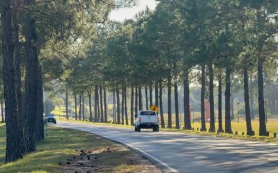 Reclaman mayor seguridad vial en la ruta de acceso a Federación