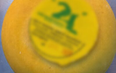 Investigan si un queso elaborado en la región está vinculado al grave caso de botulismo de un niño de Federación