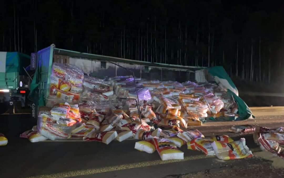 Un camión volcó su carga en la autovía a la altura de Mocoretá