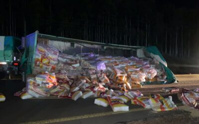 Un camión volcó su carga en la autovía a la altura de Mocoretá