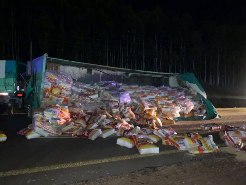 Un camión volcó su carga en la autovía a la altura de Mocoretá - VDRnet