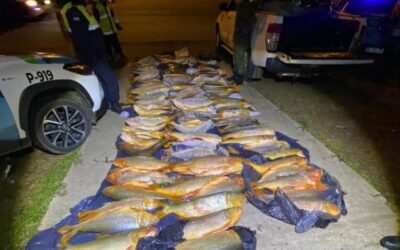 Secuestraron más de media tonelada de pescados y una camioneta en Mocoretá