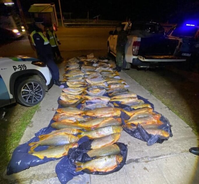 Secuestraron más de media tonelada de pescados y una camioneta en Mocoretá - VDRnet
