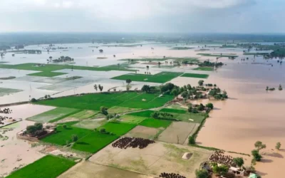 El Niño gana fuerza: alertan por más lluvias y posibles crecidas de los ríos Paraná y Uruguay