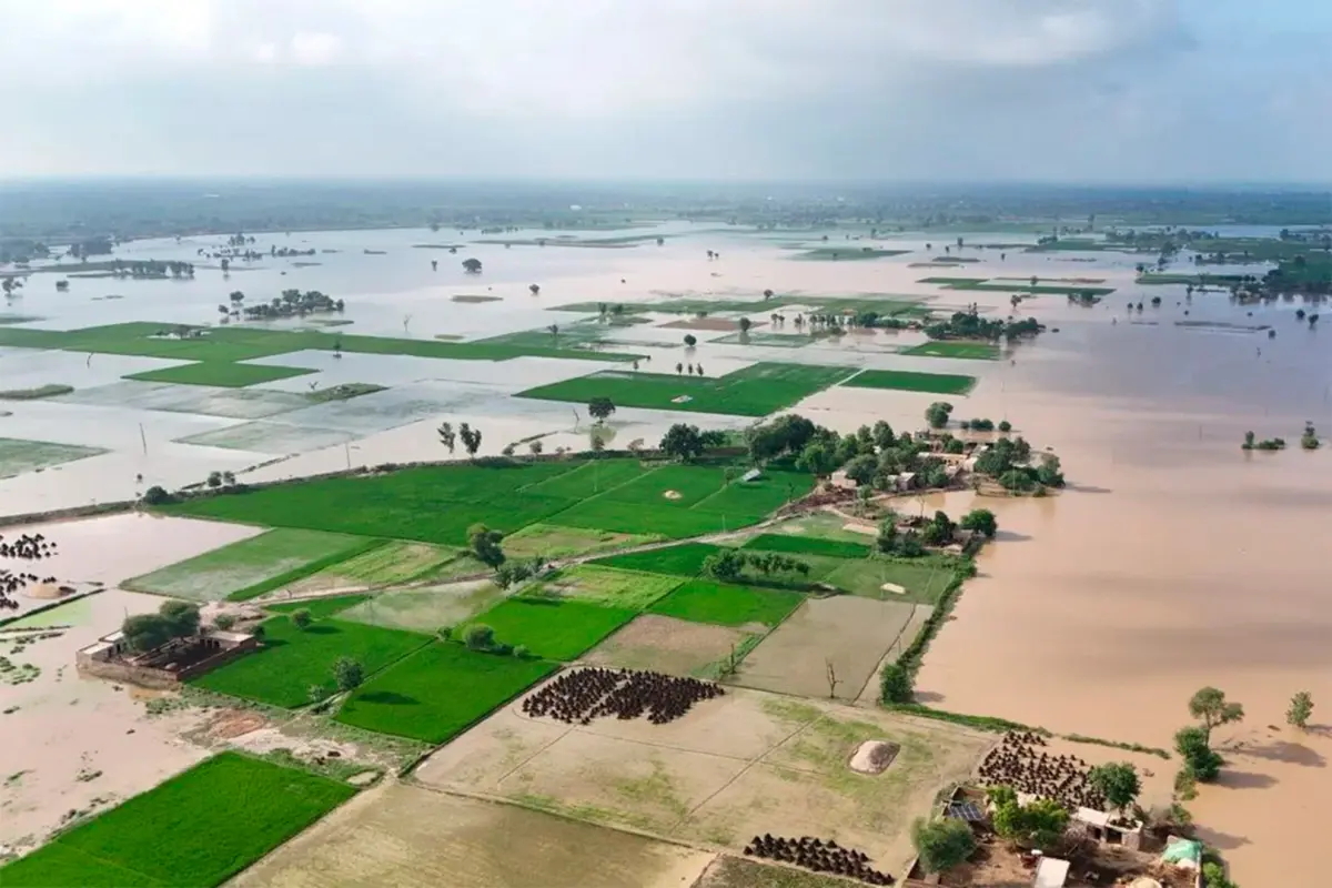 El Niño gana fuerza: alertan por más lluvias y posibles crecidas de los ríos Paraná y Uruguay - VDRnet
