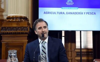 Al igual que Adorni, el senador libertario «entrerriano» Benegas Lynch aprovechó el blanqueo de capitales no declarados en su patrimonio