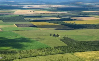 El Senado de la Nación debate una ley que elimina límites a la compra de tierras por extranjeros