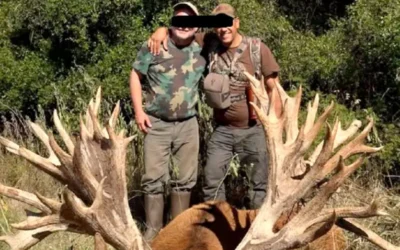 Empresario pagó US$40.000 por cazar un ciervo en Entre Ríos y ahora se investiga presunto tráfico de fauna