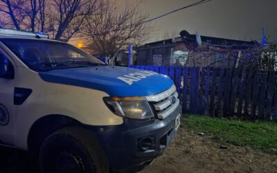 Menor pidió ayuda porque su madre era golpeada y la Policía descubrió una plantación con 255 plantas de marihuana