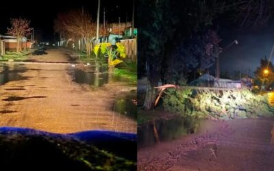 Fuerte temporal ocasionó voladuras de techos y caída de árboles en localidades entrerrianas