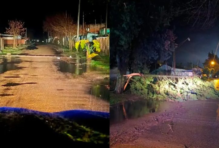 Fuerte temporal ocasionó voladuras de techos y caída de árboles en localidades entrerrianas