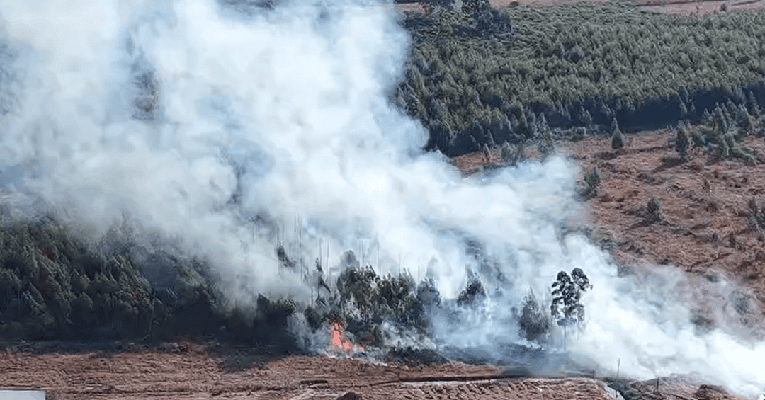 Se produjo un incendio forestal en el área industrial de Mocoretá