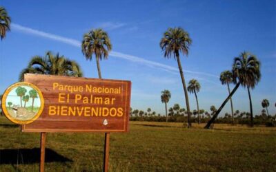 Parques nacionales en Entre Ríos: menos personal, una infraestructura deteriorada, pero concesiones hasta 2043