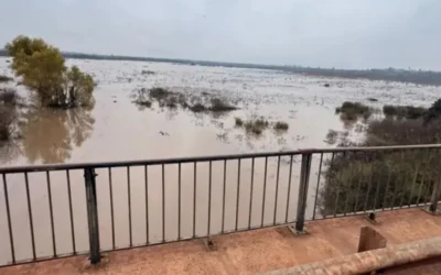 En Corrientes la altura del río Uruguay crece «cuatro centímetro por hora»