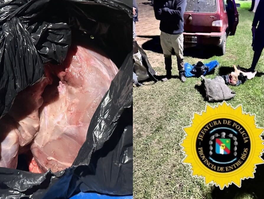 Ruta 1: Volvían de cazar y les secuestraron un carpincho, un ciervo y un arma de fuego