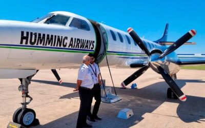 La aerolínea que opera en Concordia suspendió vuelos de otra ruta por chocar a un tero