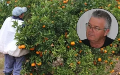 Crisis del citrus: «Al productor le quedan apenas 2.000 pesos por cajón», lamentó Mario Toler