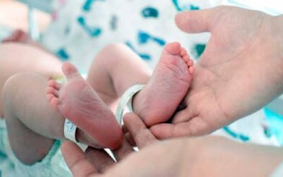 Informe: advierten una caída sostenida de nacimientos en Entre Ríos
