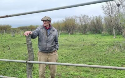 Fraude y despojo de tierras: la causa que complica a un exintendente y un escribano por engañar a un anciano
