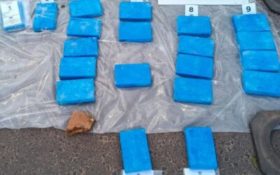 Secuestraron más de 20 kilos de cocaína que intentaban ingresar a Entre Ríos: cinco detenidos
