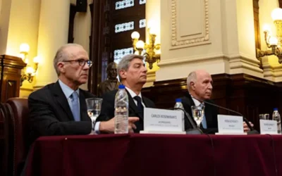 Excombatientes de Malvinas cuestionan el fallo de la Corte que valida un decreto de Milei y elimina límites a la venta de tierras a extranjeros