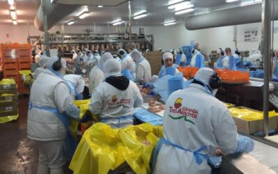 Granja Tres Arroyos declaró un pasivo de $536.000 millones y más de $126.000 millones en cheques rechazados