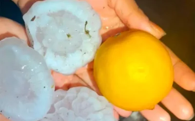 Granizo de gran tamaño y lluvias intensas afectaron varias localidades correntinas