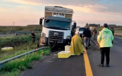 Un camión que se dirigía a Federación despistó tras intentar esquivar un ciervo en la Autovía 14