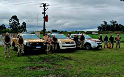 Investigan una banda por abigeato: allanamientos, 15 celulares secuestrados y tres imputados