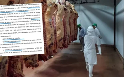 Narcolavado en Victoria: una dueña condenada, una empresa fantasma y el reclamo de un socio y trabajadores