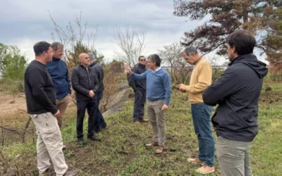 Federación insiste con gestiones ante la erosión de sus costas