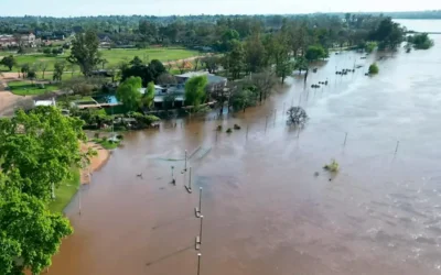 Río Uruguay: más lluvias al norte, 7 ciudades en alerta, otra en nivel de evacuación y cerca de 12 metros en Concordia