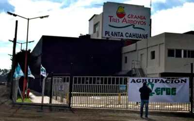 Granja Tres Arroyos: quedaron firmes 1.250 despidos tras finalizar la conciliación